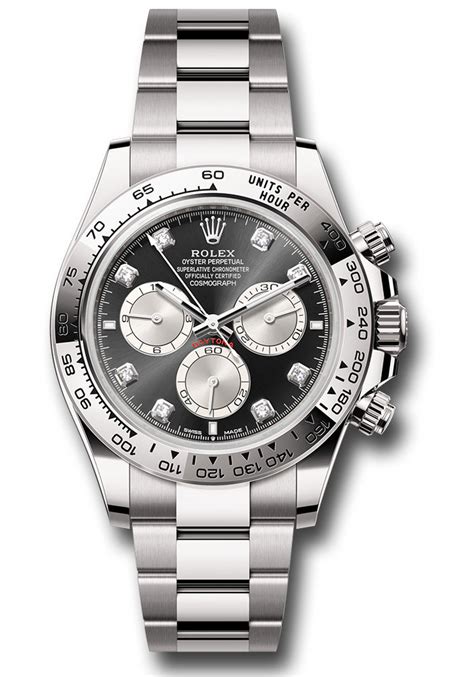 rolex 126509